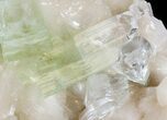 Zoned Apophyllite Crystals on Stilbite Association - India #44446-3